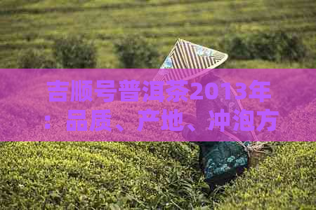 吉顺号普洱茶2013年：品质、产地、冲泡方法及收藏价值全面解析