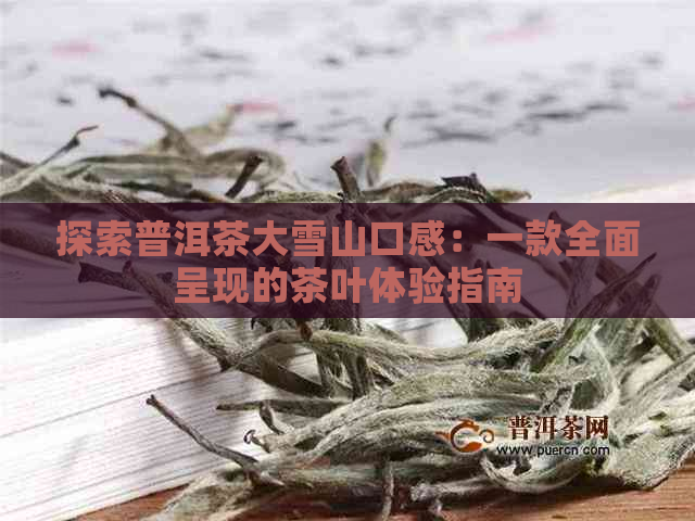 探索普洱茶大雪山口感：一款全面呈现的茶叶体验指南