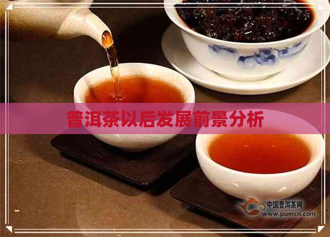 普洱茶以后发展前景分析