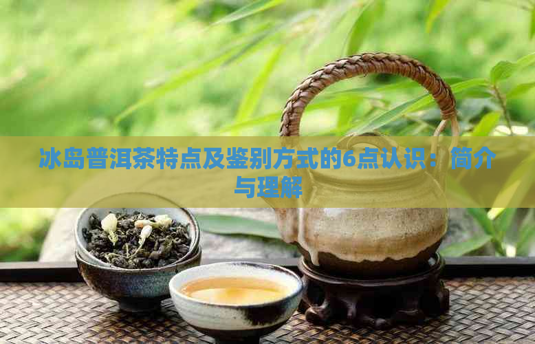 冰岛普洱茶特点及鉴别方式的6点认识：简介与理解