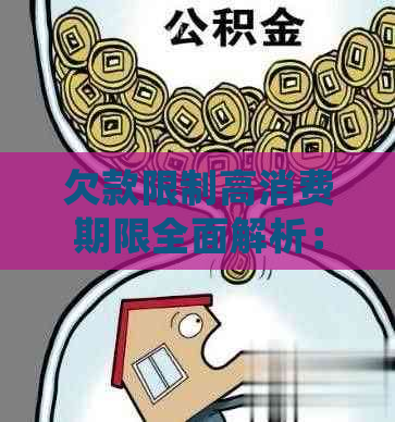 欠款限制高消费期限全面解析：逾期多久会被限制，如何避免？