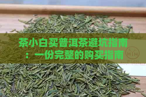 茶小白买普洱茶避坑指南：一份完整的购买指南