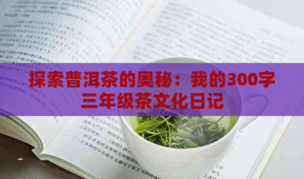 探索普洱茶的奥秘：我的300字三年级茶文化日记