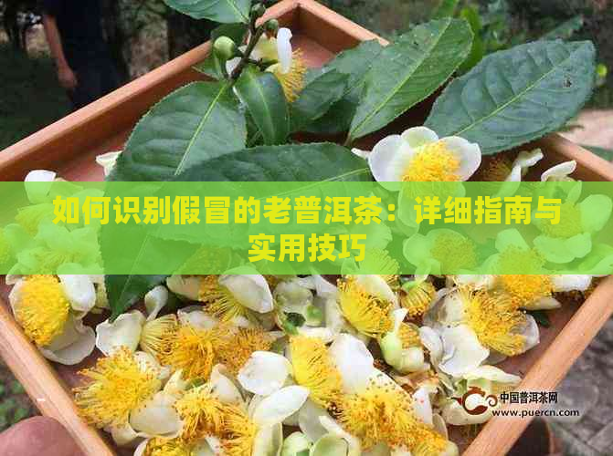 如何识别假冒的老普洱茶：详细指南与实用技巧