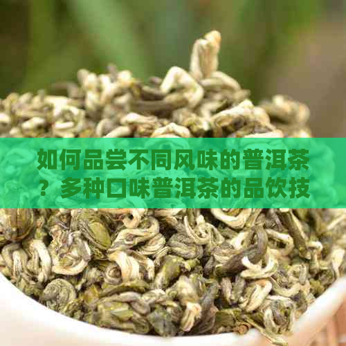 如何品尝不同风味的普洱茶？多种口味普洱茶的品饮技巧