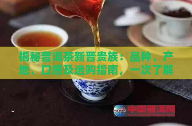 揭秘普洱茶新晋贵族：品种、产地、口感及选购指南，一次了解所有你想知道的