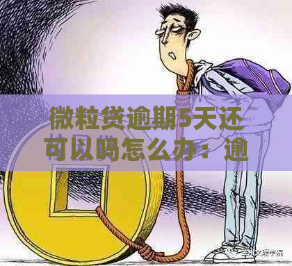 微粒贷逾期5天还可以吗怎么办：逾期后如何处理？