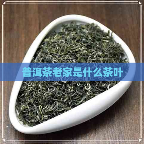 普洱茶老家是什么茶叶