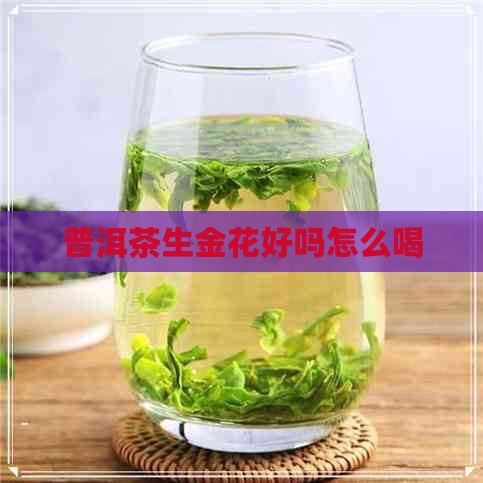 普洱茶生金花好吗怎么喝