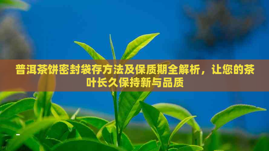 普洱茶饼密封袋存方法及保质期全解析，让您的茶叶长久保持新与品质