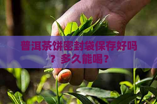 普洱茶饼密封袋保存好吗？多久能喝？