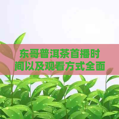 东哥普洱茶首播时间以及观看方式全面解析，让您轻松掌握最新茶叶资讯