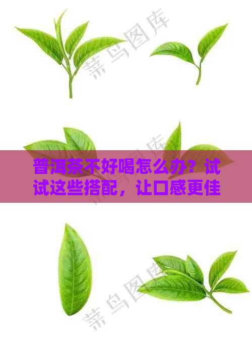 普洱茶不好喝怎么办？试试这些搭配，让口感更佳！