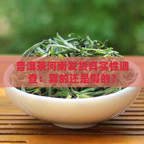 普洱茶河南发货真实性调查：真的还是假的？