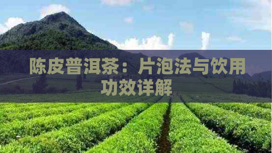 陈皮普洱茶：片泡法与饮用功效详解