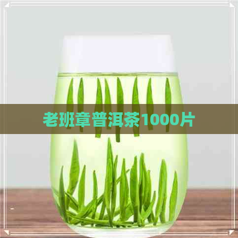 老班章普洱茶1000片