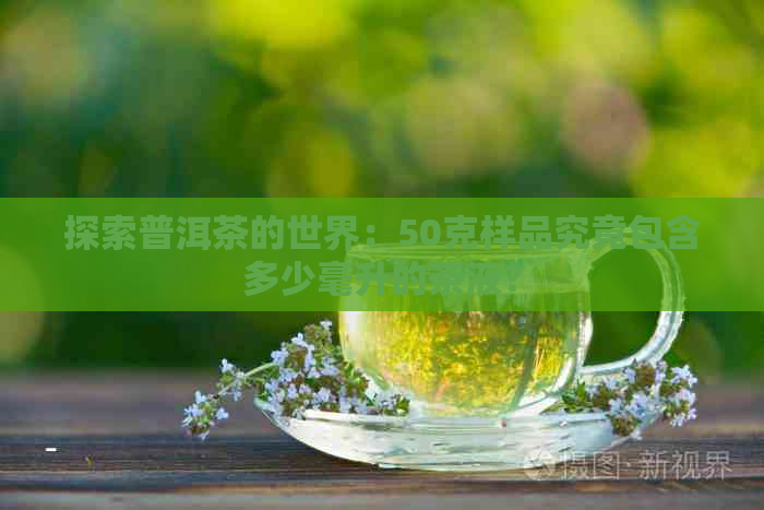 探索普洱茶的世界：50克样品究竟包含多少毫升的茶液？