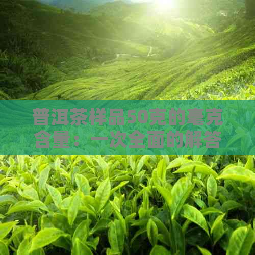 普洱茶样品50克的毫克含量：一次全面的解答与分析