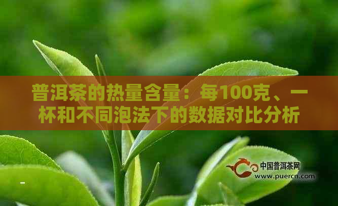 普洱茶的热量含量：每100克、一杯和不同泡法下的数据对比分析