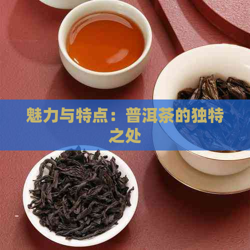 魅力与特点：普洱茶的独特之处