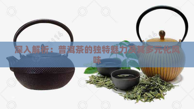 深入解析：普洱茶的独特魅力及其多元化风味