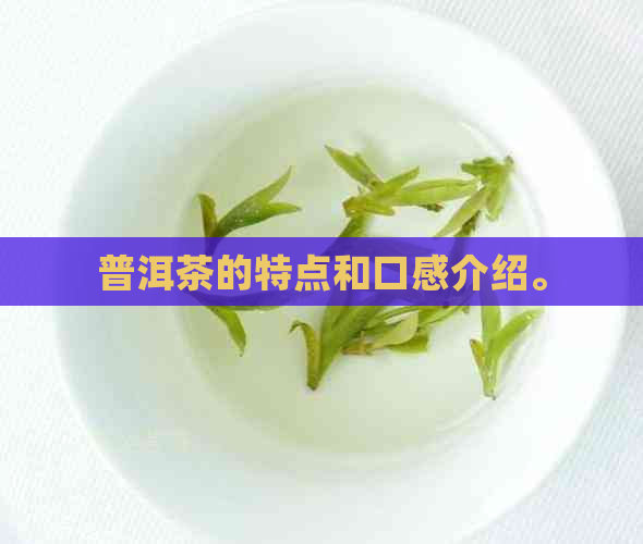 普洱茶的特点和口感介绍。