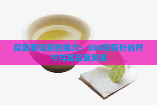 探索普洱茶的魅力：500克茶叶的尺寸与其品质关系