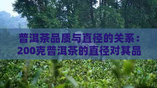 普洱茶品质与直径的关系：200克普洱茶的直径对其品质有何影响？