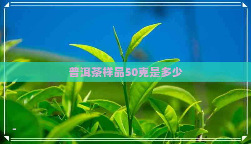 普洱茶样品50克是多少