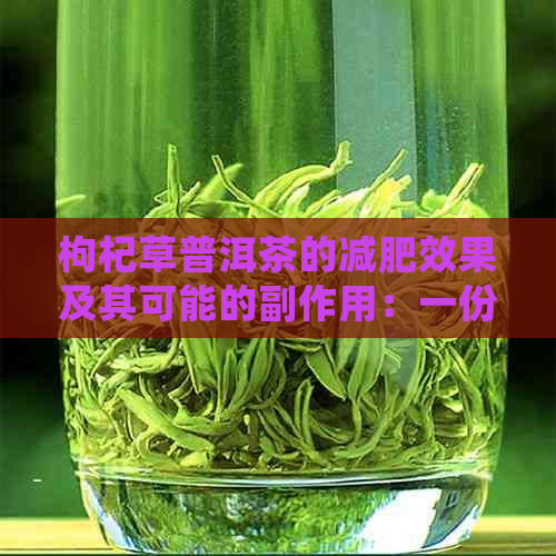 枸杞草普洱茶的减肥效果及其可能的副作用：一份全面的分析与探讨