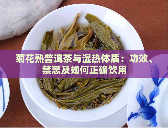 菊花熟普洱茶与湿热体质：功效、禁忌及如何正确饮用