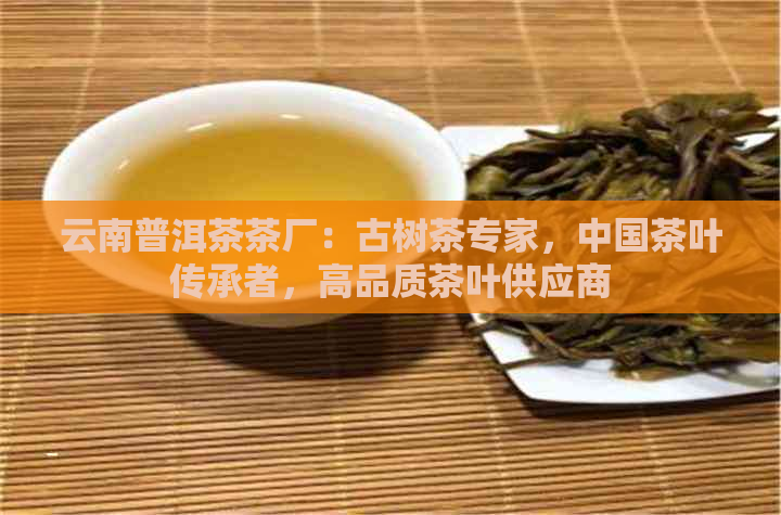 云南普洱茶茶厂：古树茶专家，中国茶叶传承者，高品质茶叶供应商