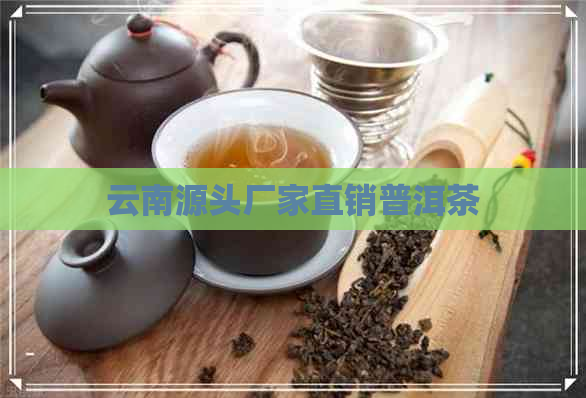 云南源头厂家直销普洱茶