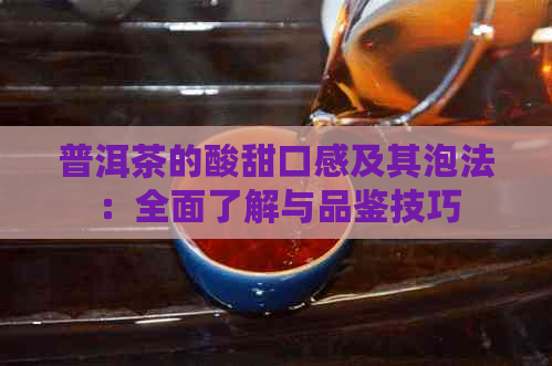 普洱茶的酸甜口感及其泡法：全面了解与品鉴技巧