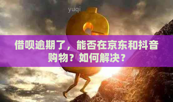 借呗逾期了，能否在京东和抖音购物？如何解决？