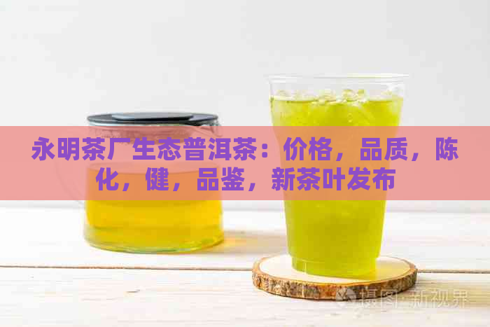 永明茶厂生态普洱茶：价格，品质，陈化，健，品鉴，新茶叶发布