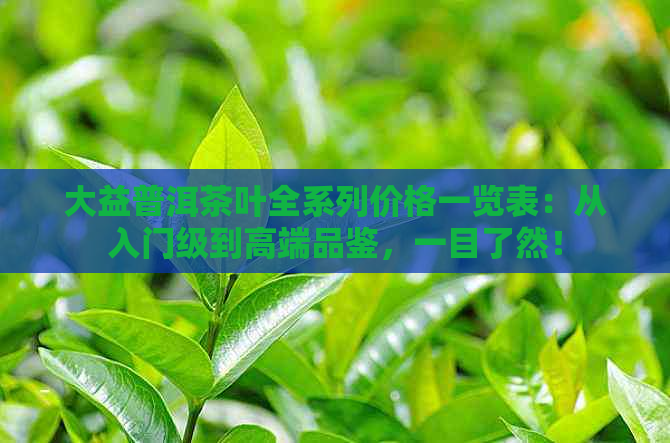 大益普洱茶叶全系列价格一览表：从入门级到高端品鉴，一目了然！