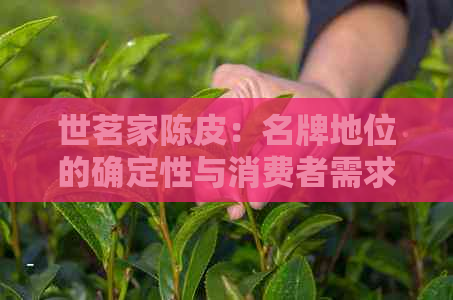 世茗家陈皮：名牌地位的确定性与消费者需求的多元性如何平？