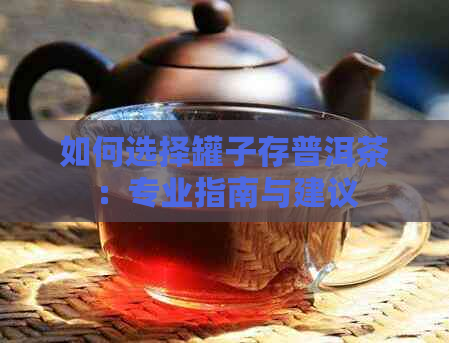 如何选择罐子存普洱茶：专业指南与建议