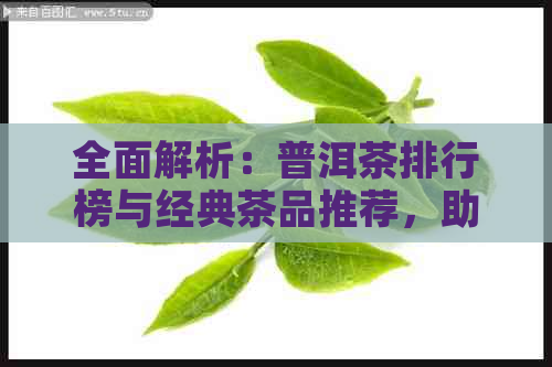 全面解析：普洱茶排行榜与经典茶品推荐，助您轻松选购优质普洱茶