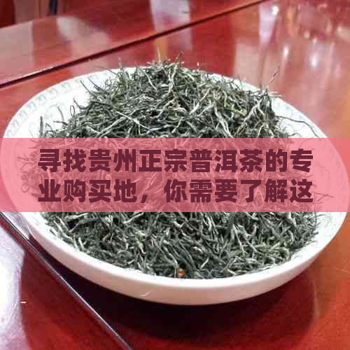 寻找贵州正宗普洱茶的专业购买地，你需要了解这些