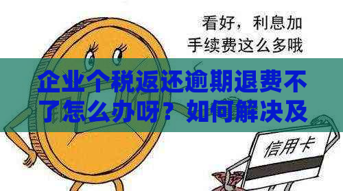 企业个税返还逾期退费不了怎么办呀？如何解决及投诉处理。