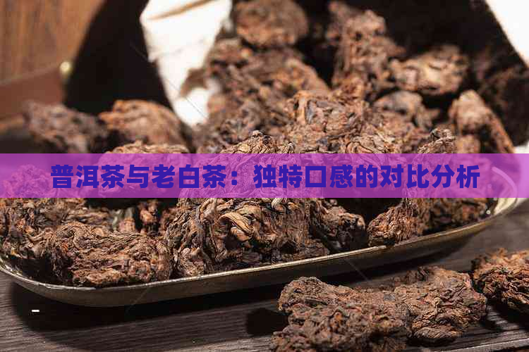 普洱茶与老白茶：独特口感的对比分析