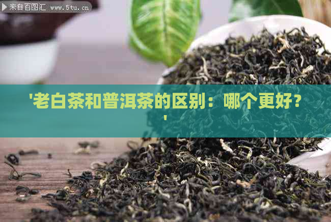 '老白茶和普洱茶的区别：哪个更好？'