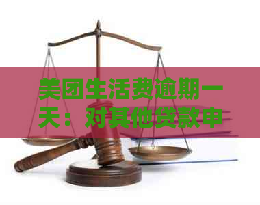 美团生活费逾期一天：对其他贷款申请的影响及解决办法