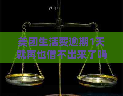 美团生活费逾期1天就再也借不出来了吗？怎么办？