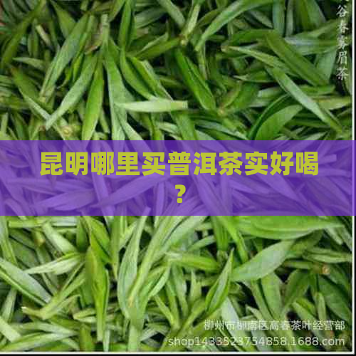 昆明哪里买普洱茶实好喝？