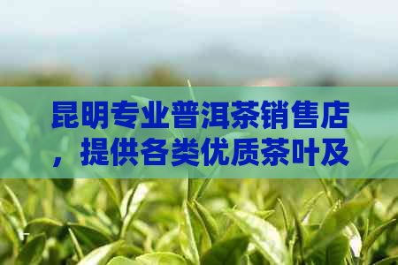 昆明专业普洱茶销售店，提供各类优质茶叶及独特冲泡技巧