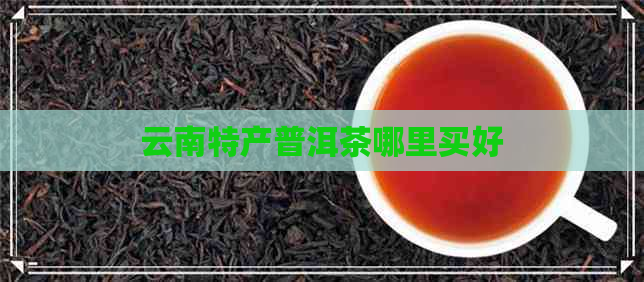 云南特产普洱茶哪里买好