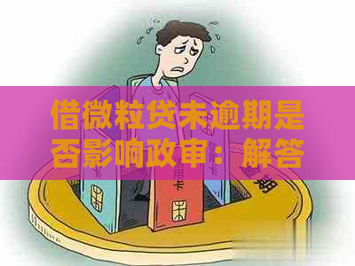 借微粒贷未逾期是否影响政审：解答及注意事项